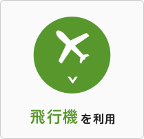 飛行機を使用